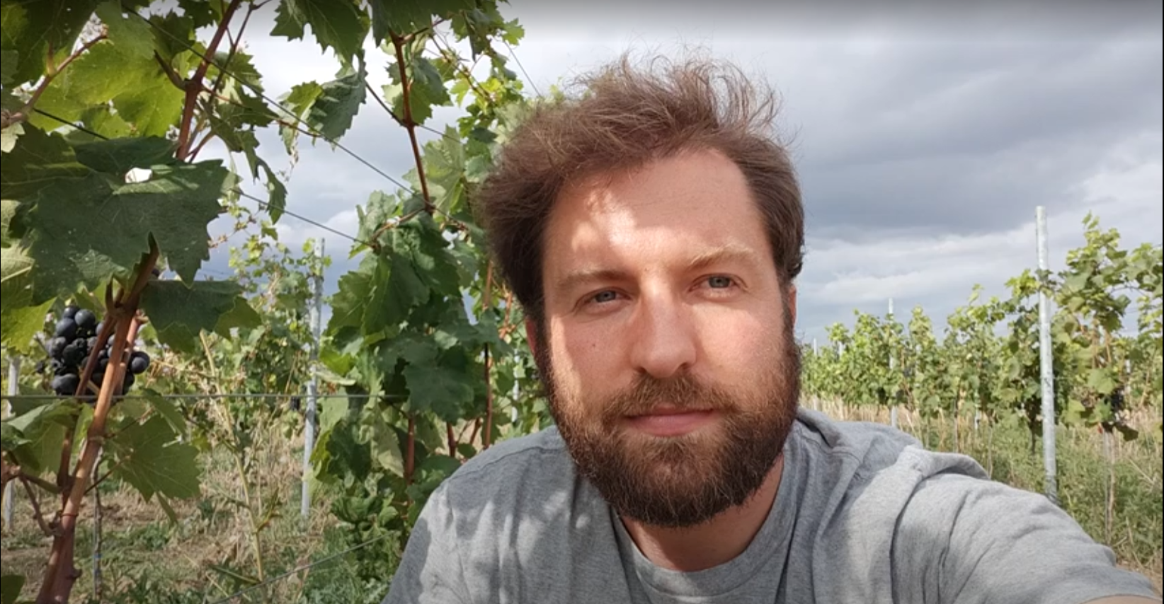 Auf der Suche nach dem Weinbau der Zukunft