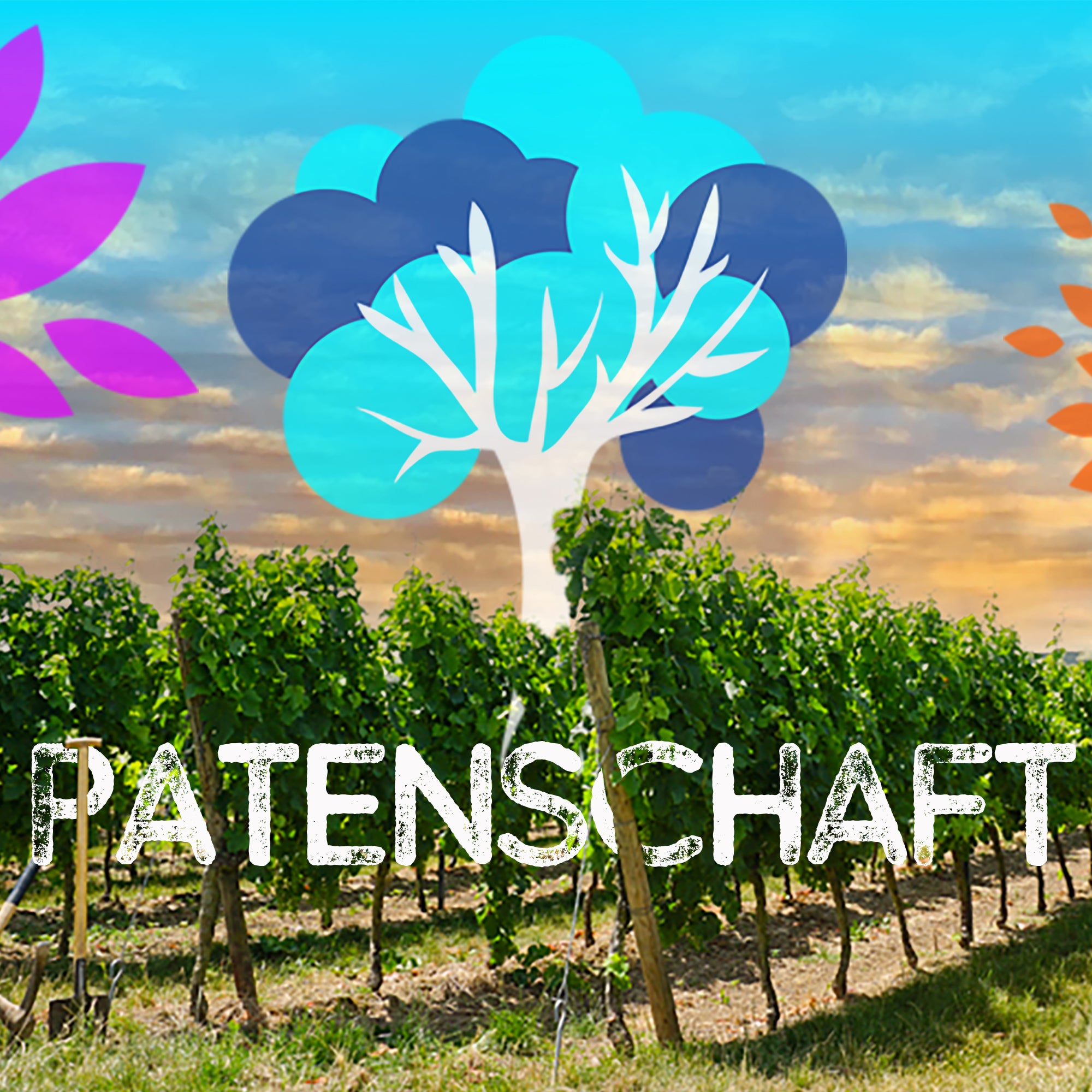 Baumpatenschaft im Weinberg