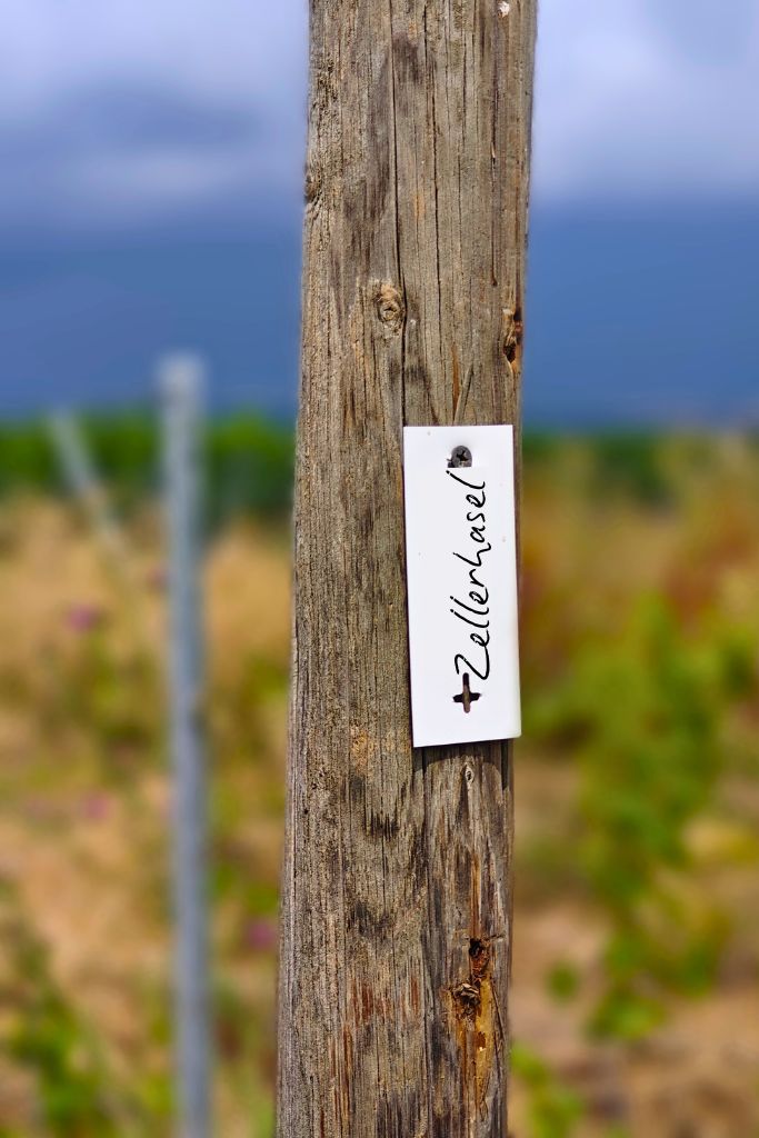 Elternschaft Zellerhasel