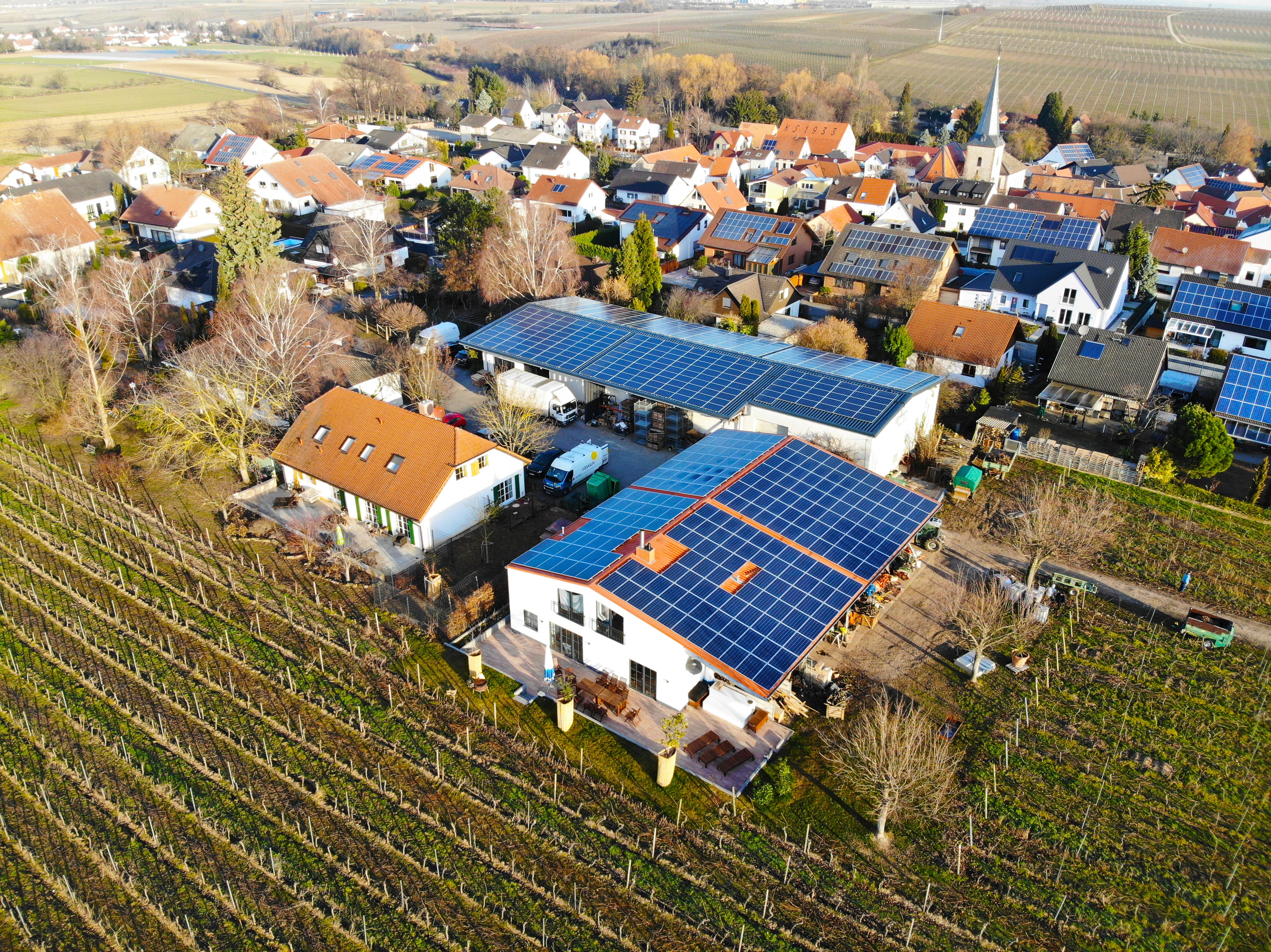 Weingut WoW eG im Gründungsprozess