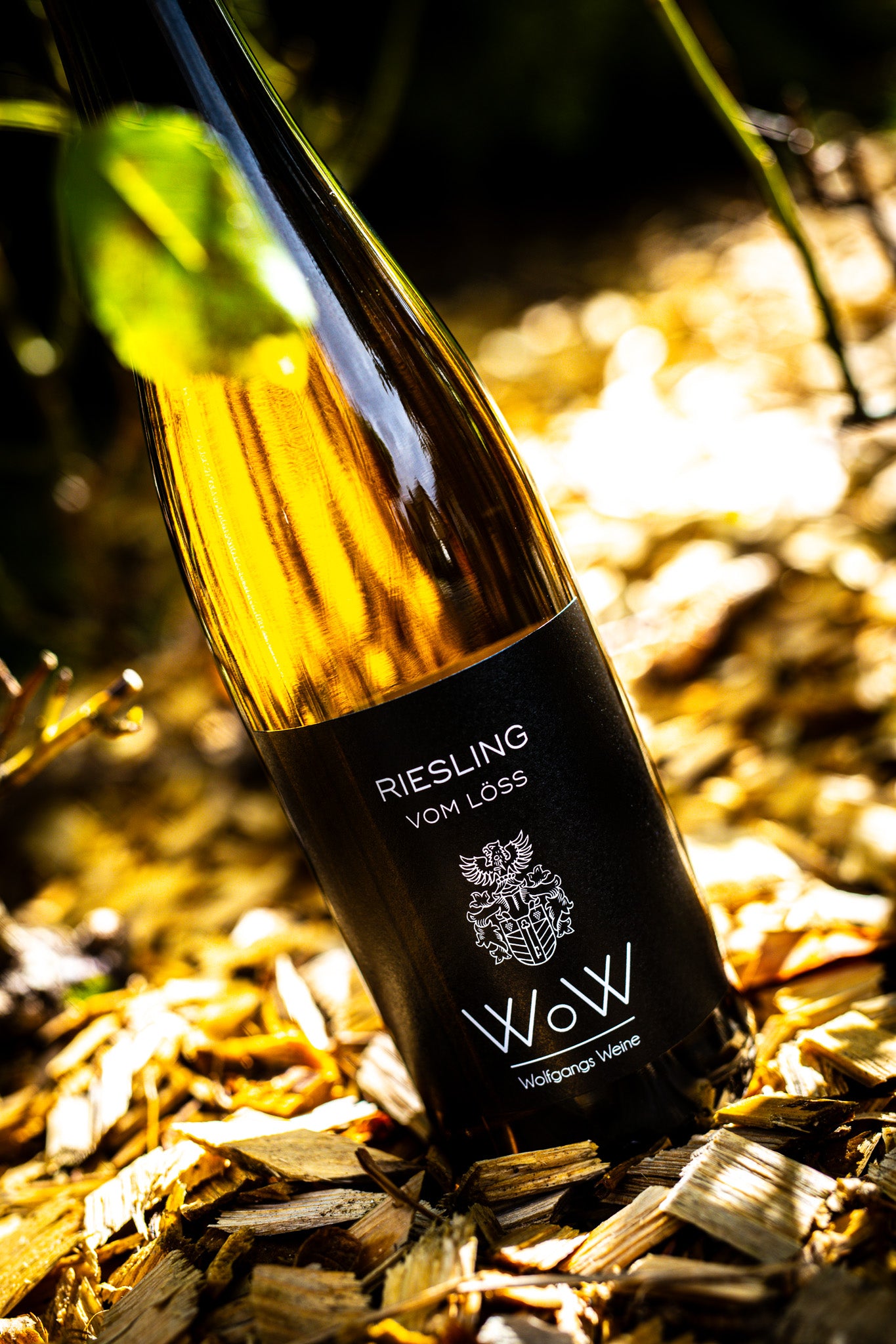 2020 Riesling vom Löss – 0,75 L
